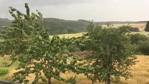 Selten war Regen 🌧️ so willkommen wie jetzt. 😘🙏 Dieses Geräusch, dieser Geruch, diese grauen Wolken 😍 Regnet's bei Euch auch? | wetter.de