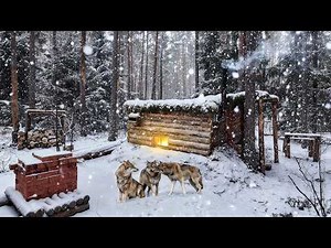 3 Days Alone in My Log Cabin During the First Snow