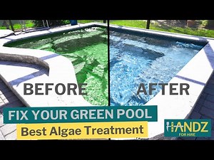HOW TO CLEAR UP A GREEN POOL | Best Algae Treatment | CLEANING SWIMMING POOL SALT CHLORINATION CELL