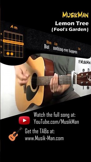 Lemon Tree 🌳🍋 (Short Version) - Fool's Garden / Guitar Cover / MusikMan