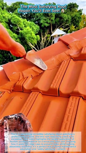 The Most Satisfying Roof Repair You’ll Ever See! 🏠🔨