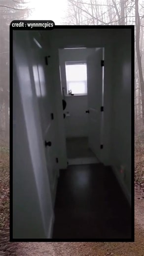 1.9K views · 57 reactions | This man seems to have captured a shadow person on camera #shadowpeople #shadowperson #haunted | That Is Impossible Official Reel | Facebook