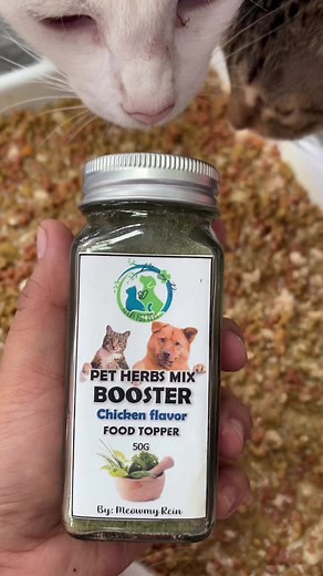 5.3K views · 63 reactions | Today's feline feast: Tender boiled chicken and a bag of premium dry food! Hydration is key, so plenty of water is served for our furry friends ❤️❤️❤️ #reelsinstagram #reelsfb #reelsvideo | CAThography | Facebook