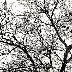 a million billion Concert & Tour History  | Concert Archives