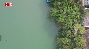 An innovative conservation measure has been rolled out to preserve ancient #trees in Yongtai County, E China's Fujian Province. Each of the ancient trees has a unique "ID card", a QR code showing detailed information about the ancient tree. #ChinaTech | China News 中国新闻网