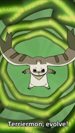 Terriermon digievoluciona a Galgomon (Gargomon) #digimon #digimontamers #terriermon #gargomon #conexiontamers