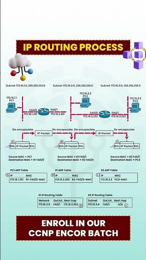 Discover the Truth Behind IP Routing