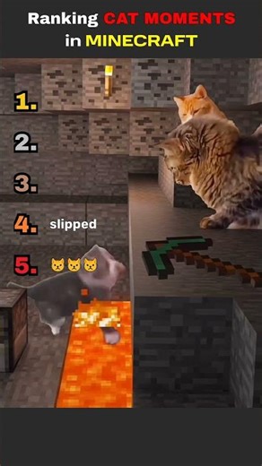 Ranking the Best Minecraft Cat Moments 🐱 #minecraft #shorts
