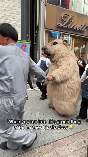 Groundhog Day Encounter: Is That Phil?