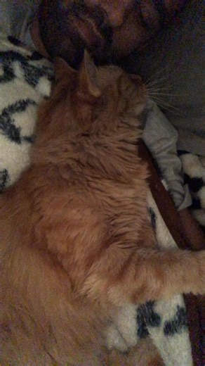 Kermit's Colorful Makeover: No Judgements!