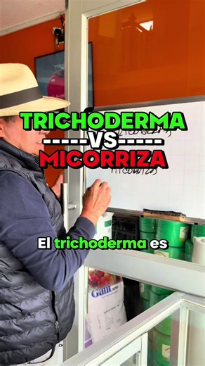 El poder de Trichoderma y Micorrizas en su huerto