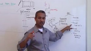 2.6K views · 61 reactions | Today's mini been is here! Sources of...