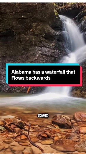 Alabamas waterfall, Kinlock falls flows backwards when strong valley winds blow the waters upwards instead of down. Alabama travel Real Alabama Alabama Hidden Alabama Things to do in Alabama Explore alabama Sweet home Alabama Alabama the beautiful Kinlock falls Dekalb county Alabama #alabamatravel #alabamawaterfalls #kinlockfalls #dekalbcounty #doublesprings