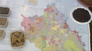 Soil Composition - Gardening Australia