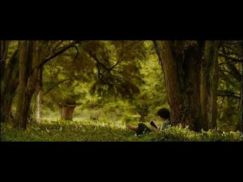 A Wizard Is Never Late -The Fellowship of the Ring