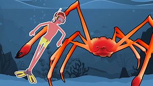 15M views · 58K reactions | The most terrifying creatures of the deep sea. | Insider Science | Facebook