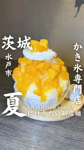 しろいくも水戸店｜純氷かき氷の人気メニューと店舗情報