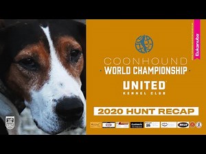 UKC Coonhound World Championship 2020 - Hunt Recap
