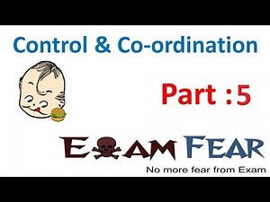 Glands types Endocrine and Exocrine - Biology Control and Co-ordination, Science