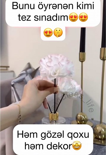 Ladiees_life on TikTok