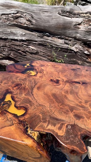 Ancient Kauri coffee table with natural Kauri amber — where modern organic design meets quiet luxury. #kauri #table #ancientkauri #design #furniture #interiordesign #luxury #home #interior #homedesign #coffeetable #modernorganic #quietluxury | SwampKauri.com Ancient Kauri Wood Supplier | Facebook