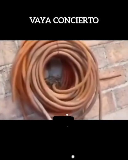 94K views · 2.3K reactions | #ledzeppelin 落 | 푽풐풍풄풂풏풐 푹풂풅풊풐풔풉풐풘 | Facebook