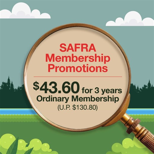 Get ready for a family adventure like no other at the BE@SAFRA Open...