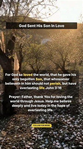 John 3:16 Explained: God Sent His Son in Love for Everlasting Life