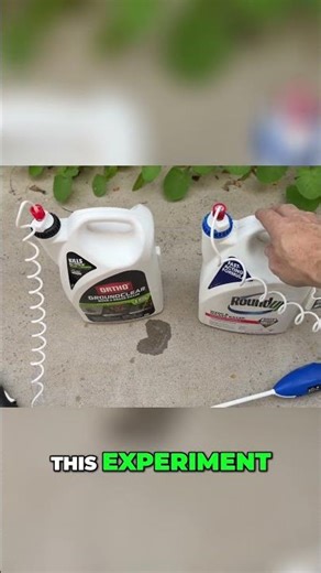 Roundup vs Ortho Weed Killer Experiment You Need! #geoffsgadgets #weedkiller #diyprojects