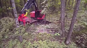 13K views · 220 reactions | TimberPro TN725C with J.P. Skidmore CF-22 processing head | Forestry Equipment in Action | Facebook