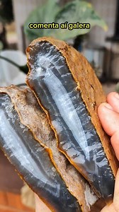 um cristal e uma ágata #quartzo #cristal #animais | Sandro Fiamoncini
