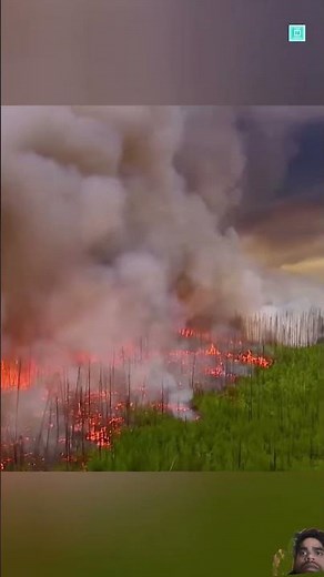 How To Fight Fire With Fire 🚒