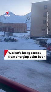 7.7M views · 106K reactions | A worker has had a lucky escape from a charging polar bear in the Arctic town of Pyramiden on the Norwegian archipelago of Svalbard. The man fired a warning shot at the animal but it kept charging until he rode away on a snowmobile. #bear #bears #polar #polarbear #polarbears #arctic #arcticcircle #pyramiden #svalbard #norway #archipelago #animal #animals #nature #snow #snowmobile #7NEWS | 7NEWS Sydney | Facebook