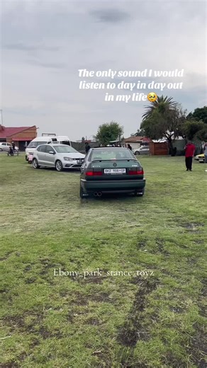 R32 Engine Swap: A Viral Transformation at Ebony Park