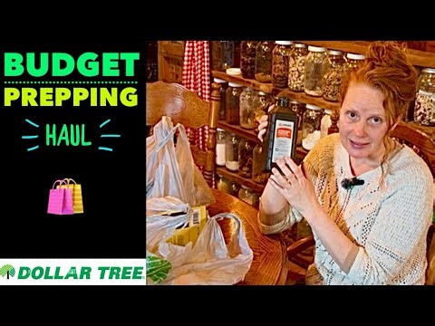 Budget Prepping Dollar Tree Haul