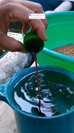 Apakan probiomax boleh untuk bibis pakan❓ #shortsviral