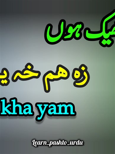 Learn Pashto: Urdu Conversations and Sentence Structure