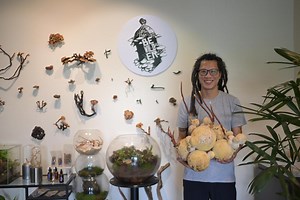 Bewildering mushrooms: One Singapore firm is turning fungi into art