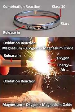 Magnesium Ribbon Burning Experiment | Class 10 Science | Chemical Reaction