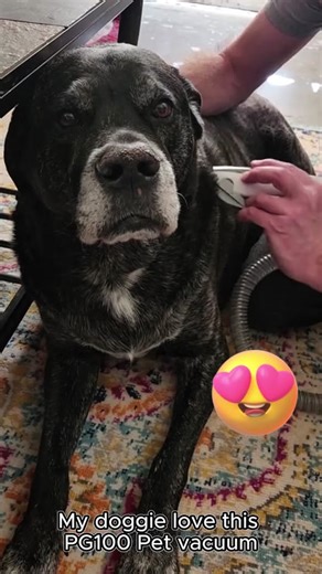 😺🐶🎁Smooth gift for your lovely pets! Transform pet grooming at home with AiRROBO PG100! Enjoy 12,000Pa powerful suction that captures 99% of loose hair, dander & allergens. Quiet