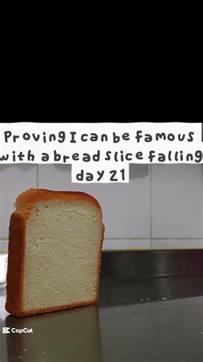Proving I can be famous with a bread slice falling day 21 #bread