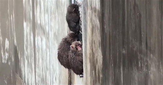 #punchkun #punchi #punch #babypunch | baby boy punch scene