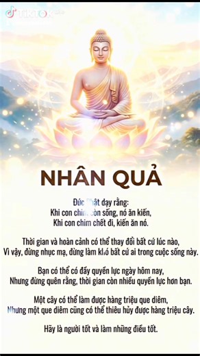 NAM MÔ BỔN SƯ THÍCH CA MÂU NI PHẬT🙏❤🙏Nhớ thường niệm PHẬT Ạ