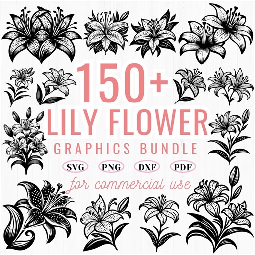 150  Lily Flower SVG Bundle: Botanical Clipart, Floral Line Art (commercial Use) - Etsy