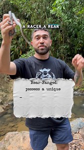 14K views · 91 reactions | Puerto Rican Wildlife need more attention...