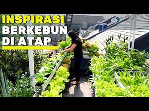 The Fun of Gardening on Rooftops and Balconies