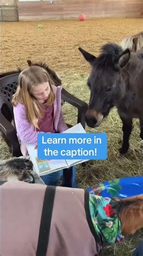 Animal-Assisted Literacy Comes to Life at Main Stay Farm 📚🐴