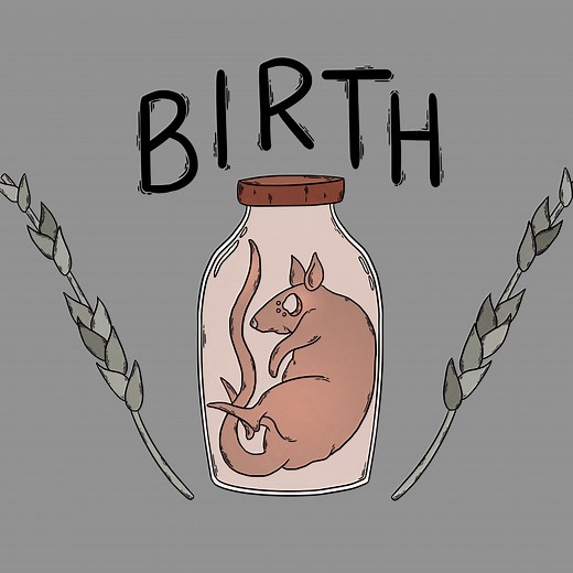 Birth - IGN