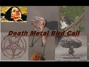 Death Metal Bird Song-Appalachian Body Disposal (Rough Vocals)