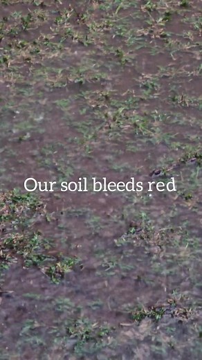 This is why organic farming is need of nature #agriculture #pollutionawareness #organicfarming #nepalitiktok #fypシ